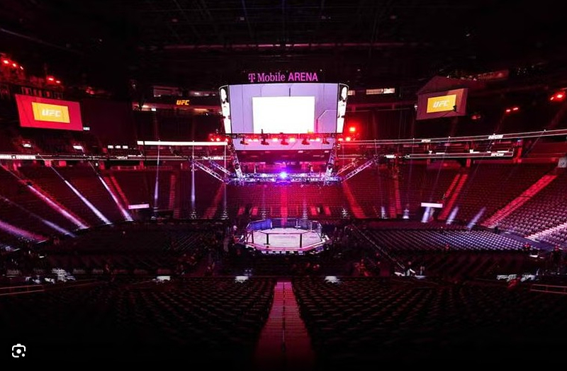 UFC 317: 톱리아 vs 올리베이라 경기