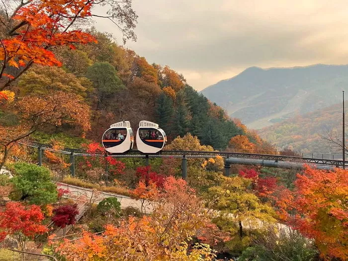 화담숲 예약 방법과 방문 팁 총정리