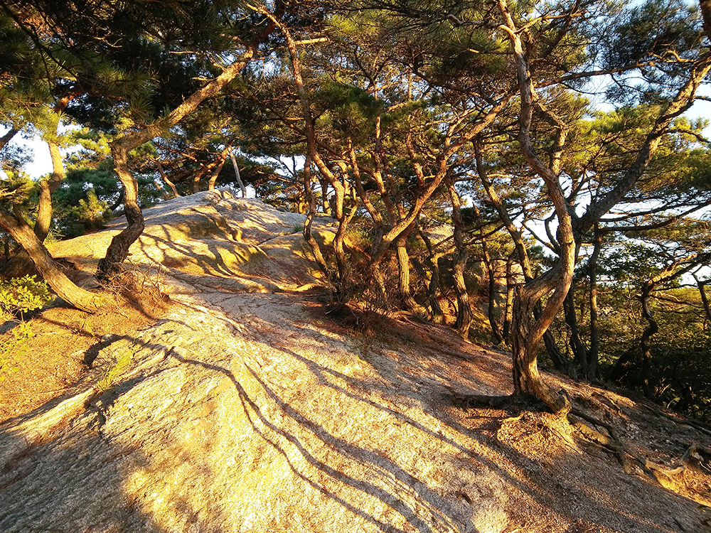 햇살이 아름다운 인왕산(Inwangsan Mountain)