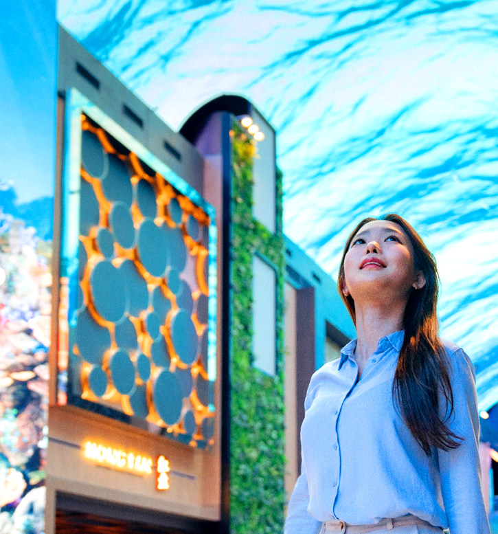 인스파이어 오로라