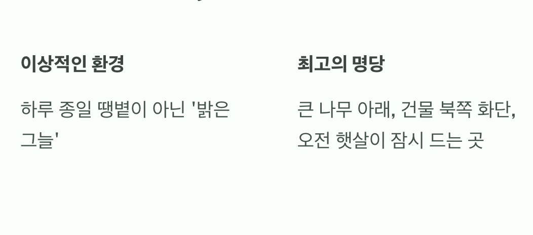 최고의 장소, '나무 그늘 아래'