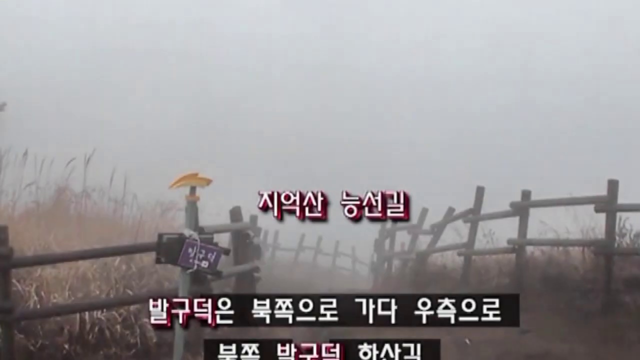 운무 속 억새와 목책 사이의 정상 부근 갈림길
