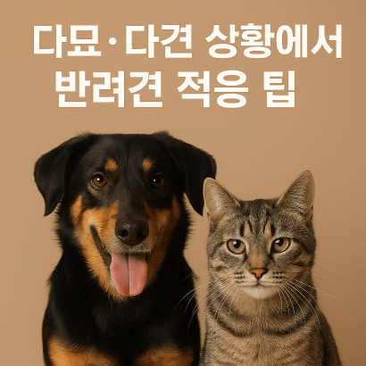 강아지가 고양이와 잘 지낼 수 있을까? 반려견 적응 훈련법