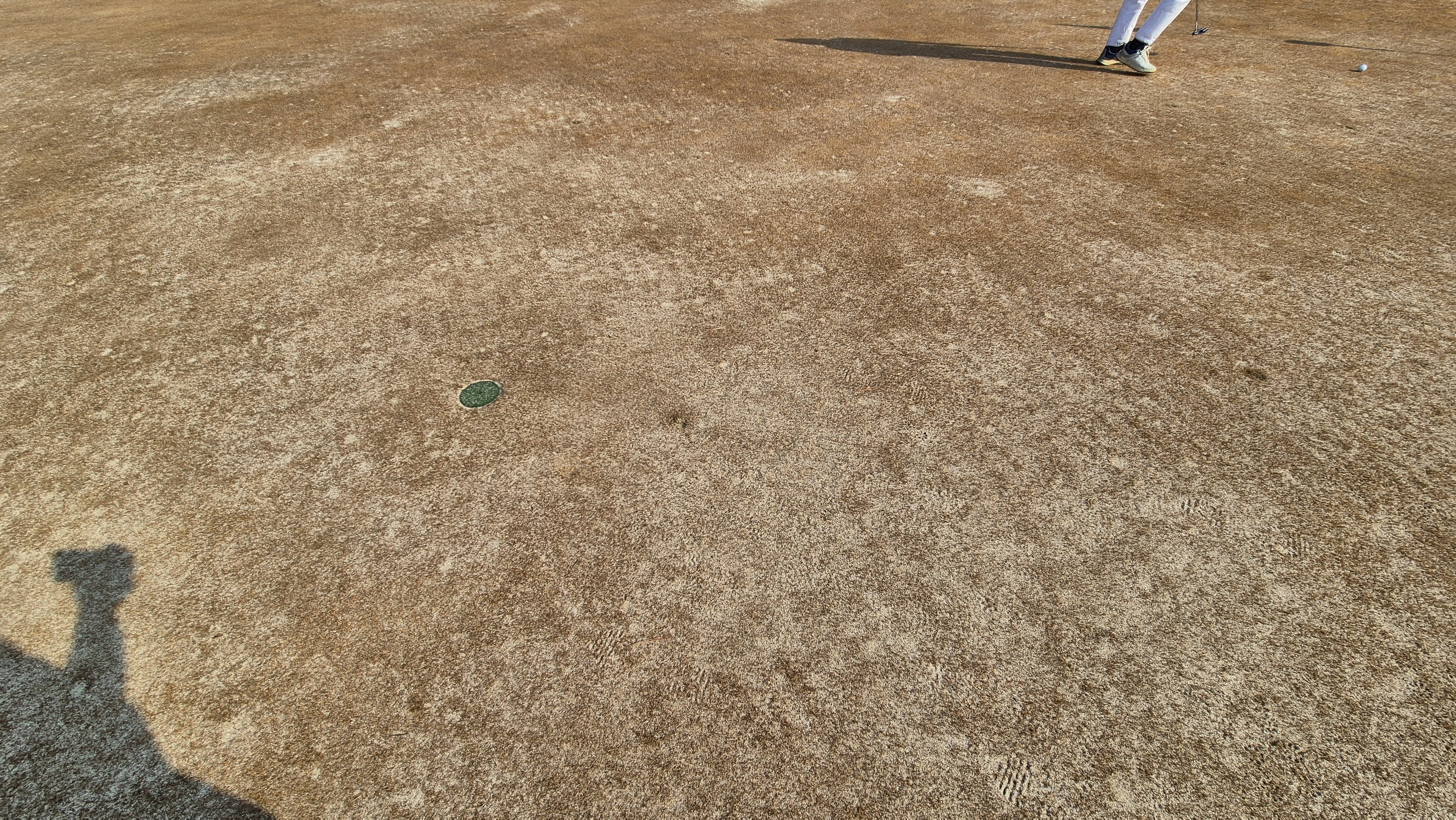 비에이비스타cc 호박-보나(퍼블릭) 코스 그린관리상태