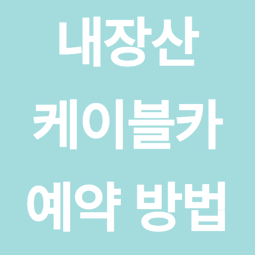 내장산 케이블카 예약 방법