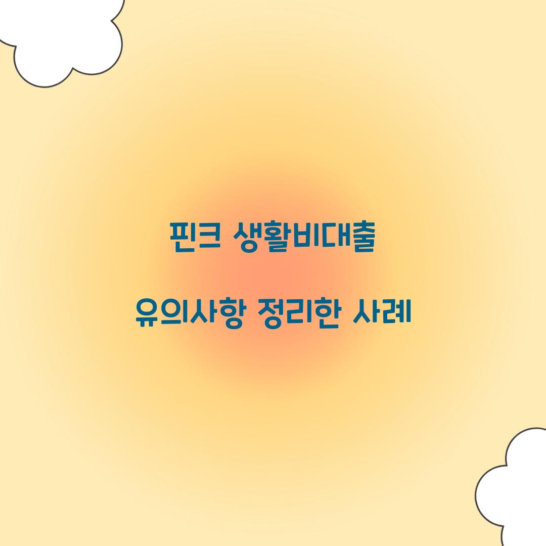 핀크 생활비대출 유의사항 정리한 사례