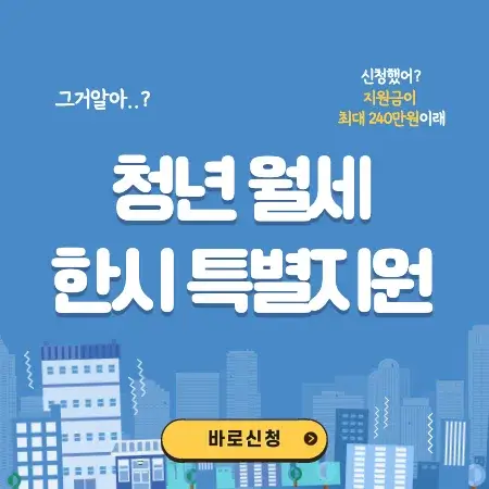 청년 월세 한시 특별지원