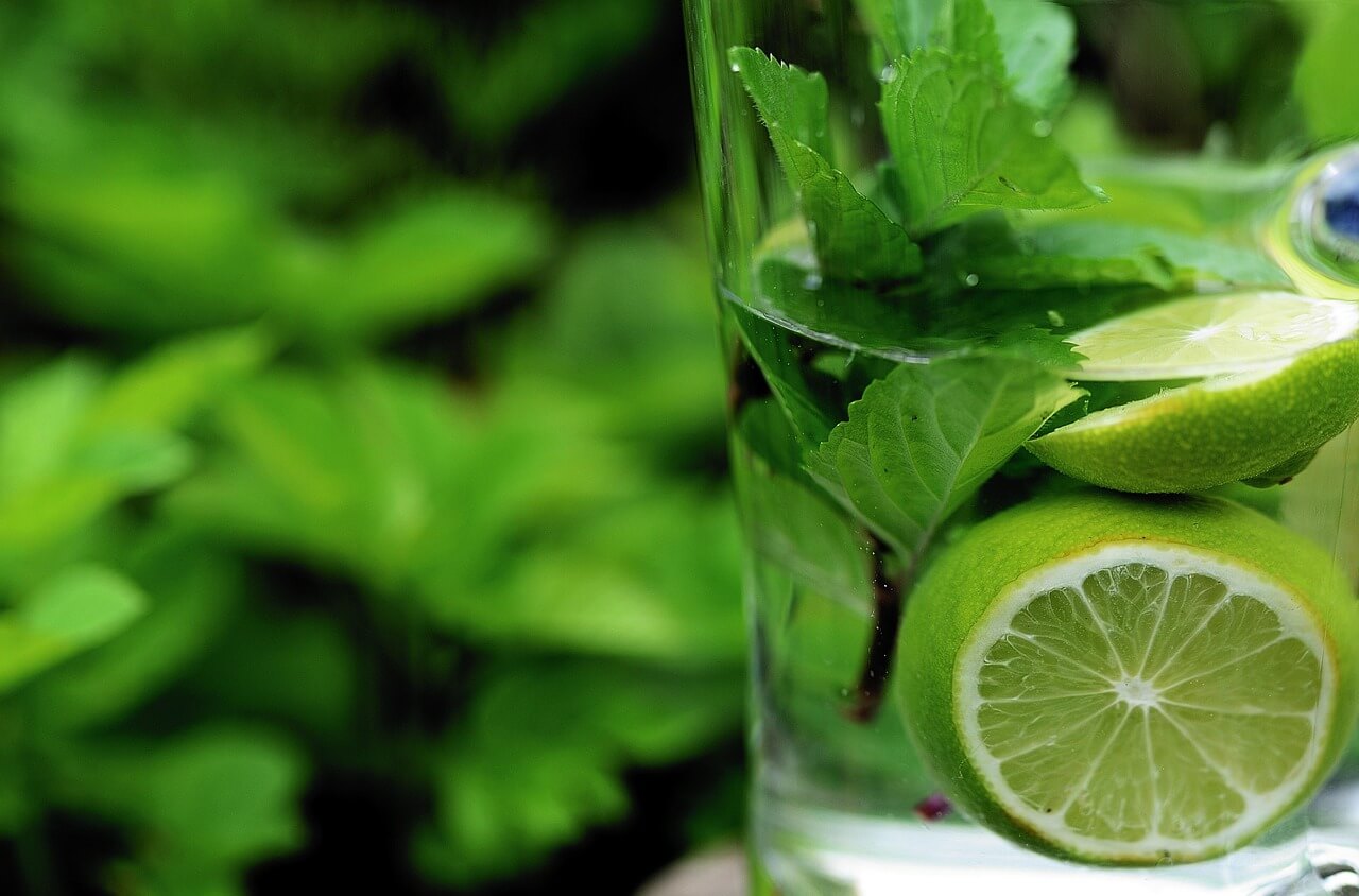 건강기능식품 복용 궁합