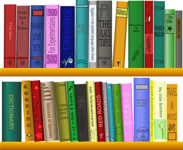 도서 분류 체계와 사서의 역할