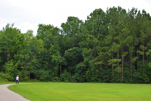 서울대 관악수목원