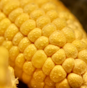 변비에 좋은 음식 해결방법 운동