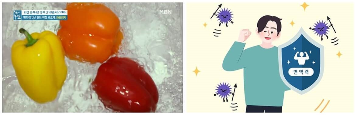 면역력 증진에 좋은 파프리카