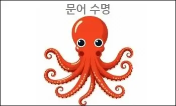 문어 수명