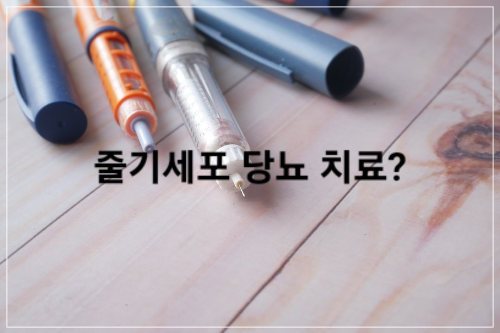 줄기세포 당뇨