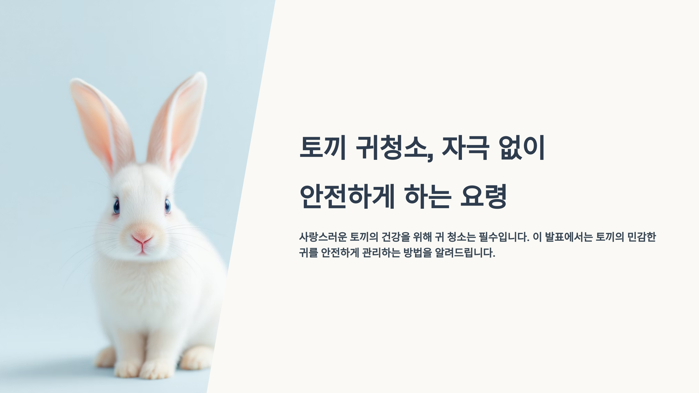 토끼 귀청소, 자극 없이 안전하게 하는 요령