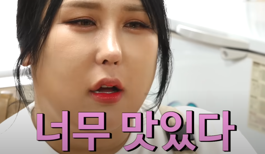 또간집 풍자 천안 진주회관 소개