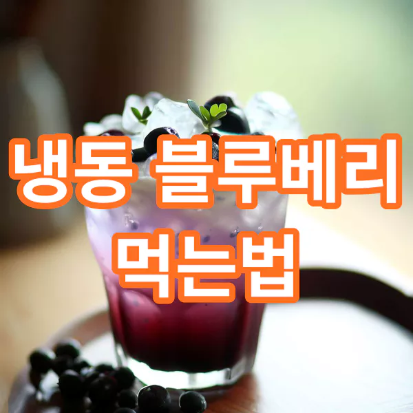 냉동-블루베리-먹는법-효능-건강