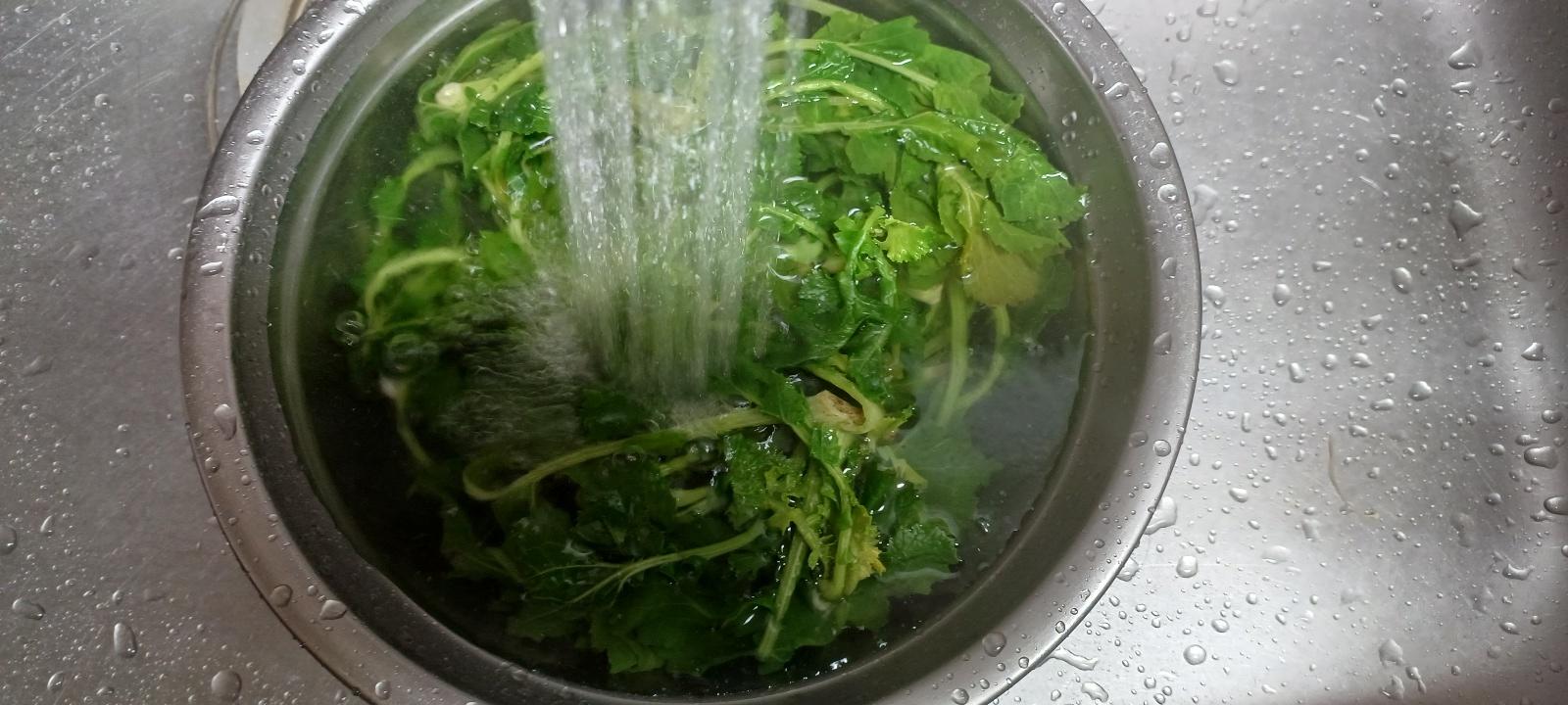 데친 겨울초 씻기