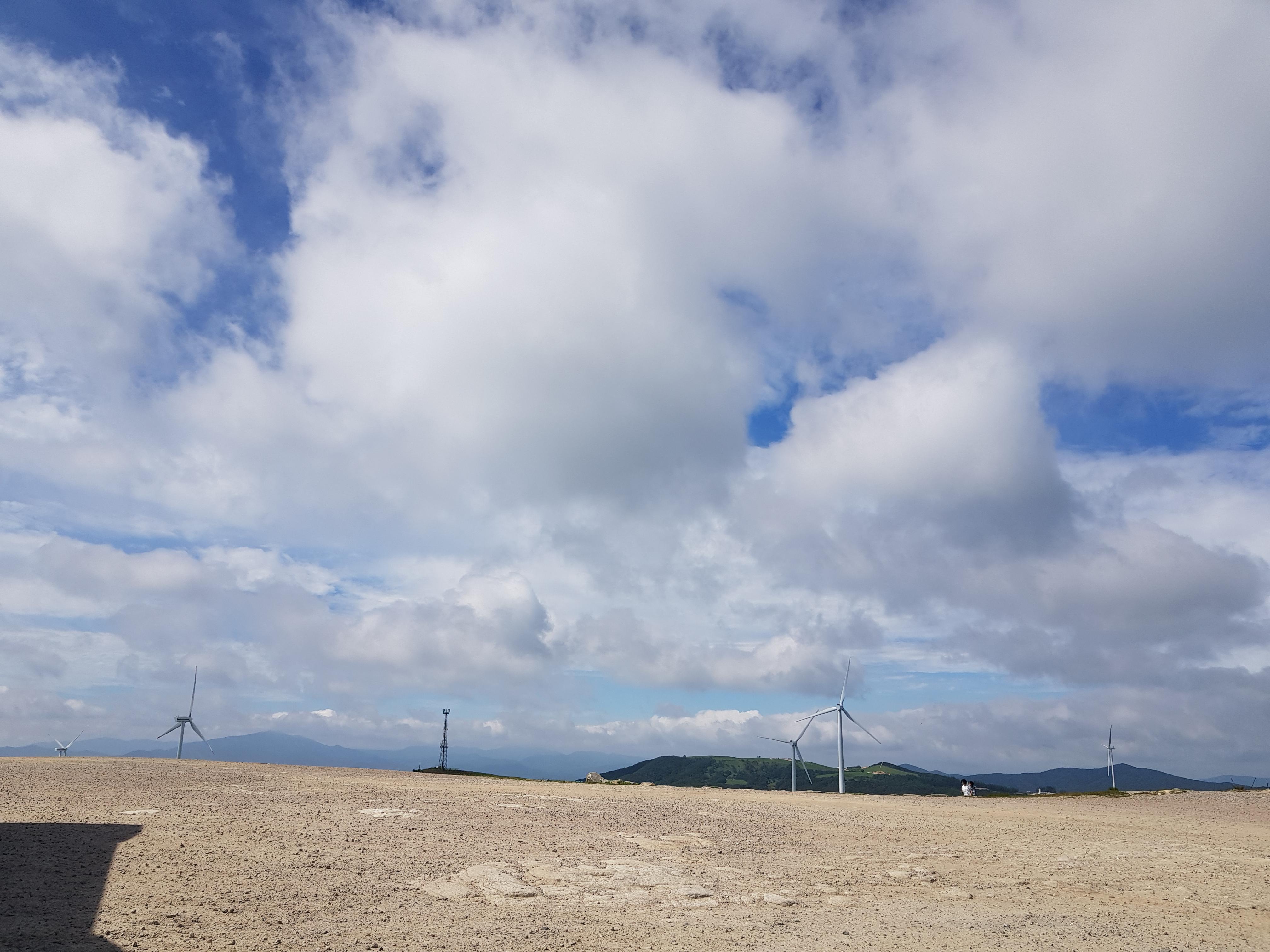 KTX 자유석 예약부터 이용방법 알아보기