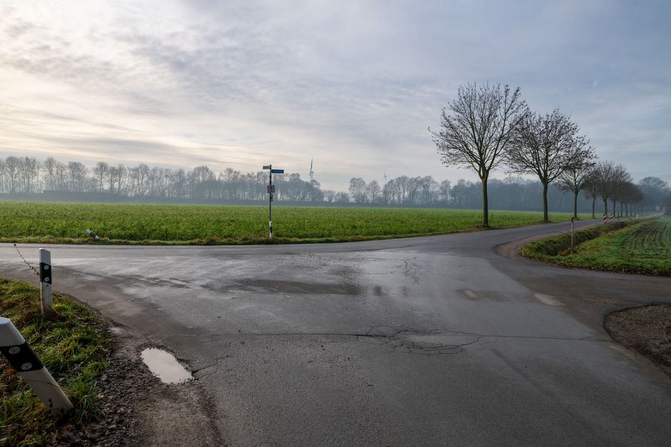 A serene rural road intersection with bare winter trees lining fields under a cloudy sky.