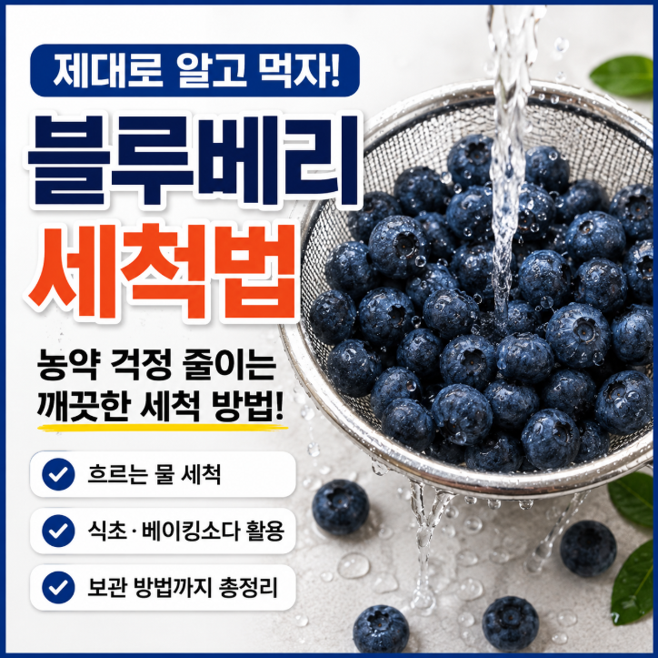 블루베리 세척법 제대로 알고 먹어야 하는 이유, 농약 걱정 줄이는 방법 총정리