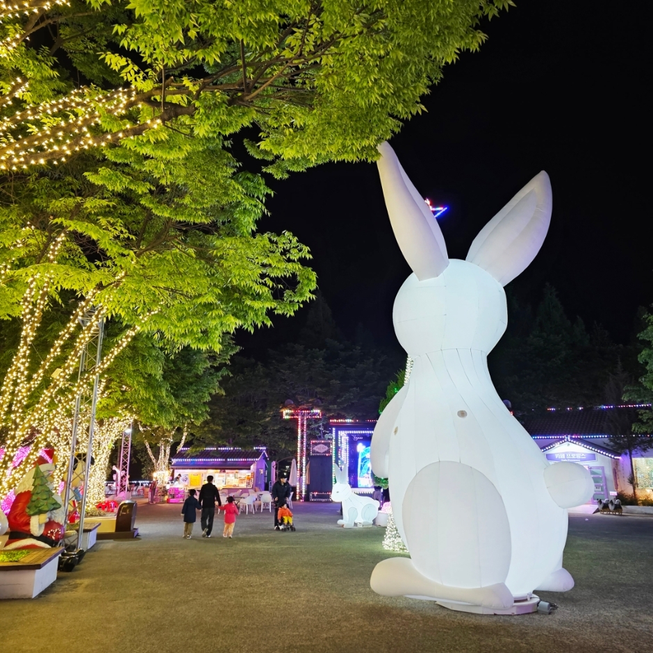 10월 지역 축제 가을 축제