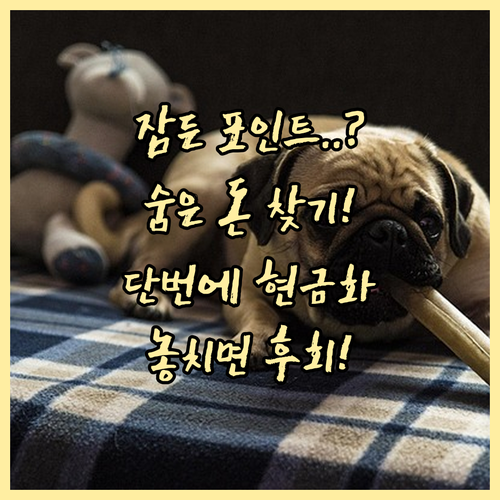 흩어진 신용카드 포인트 한 번에 현금..