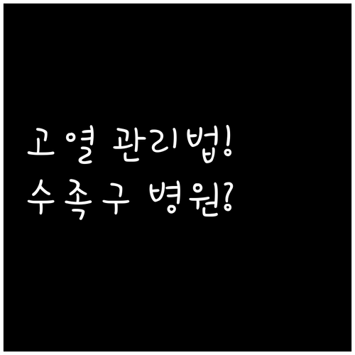 수족구 고열 및 물집 관리와 진료 병..