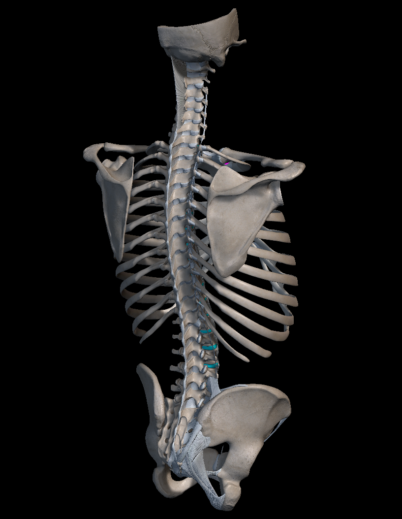 허리 삐끗했을 때, 요추 염좌 치료법