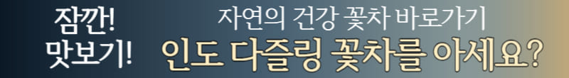 인도 다즐링 차