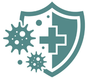 면역력을 높이는 음식 BEST10