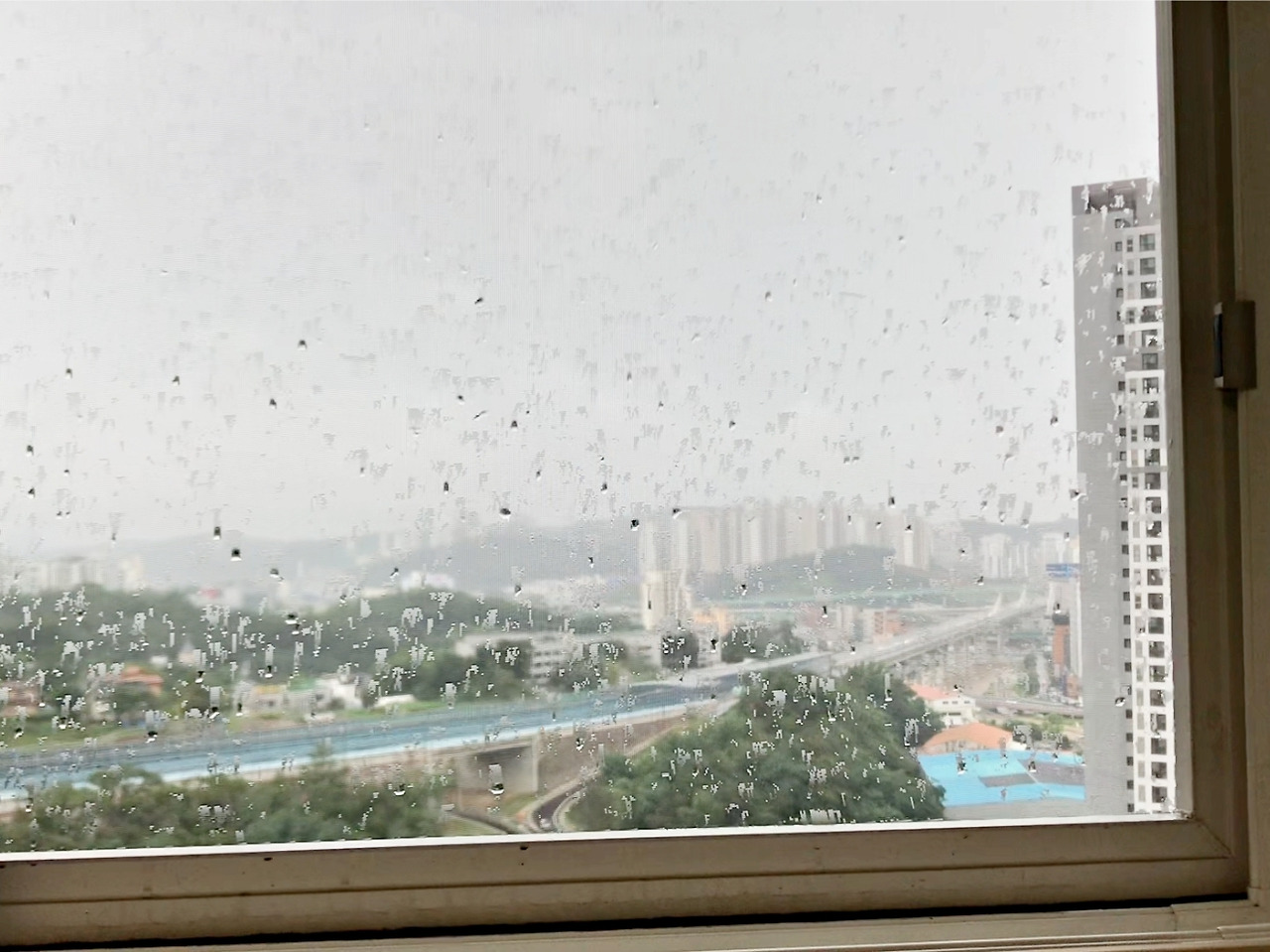 습기 돈 안들이고 잡는 꿀팁