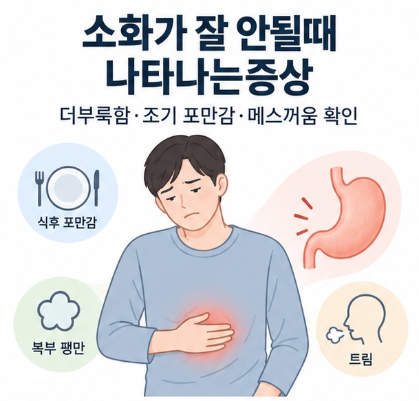 소화가 잘 안될때 나타나는증상과 더부룩함 조기 포만감 메스꺼움을 위장 그림과 함께 보여주는 교육용 이미지