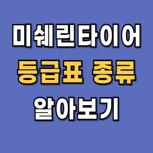 미쉐린타이어 등급표 종류