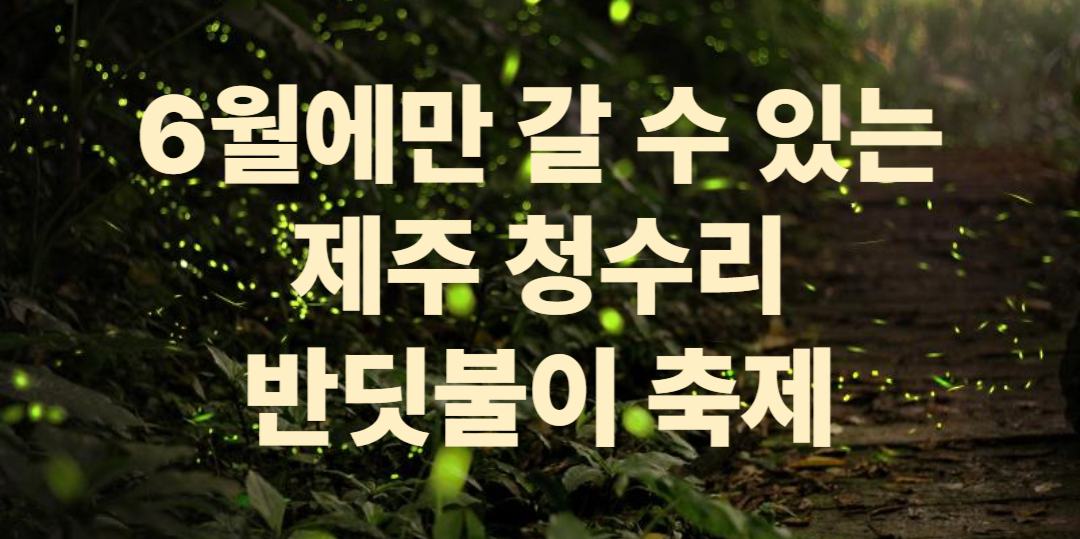 제주 청수리반딧불이축제 2025, 아이와 함께 빛을 따라 제주 청정 자연을 걷다[6월만 가능!!]