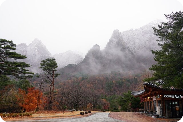 청와대 관람신청 예약