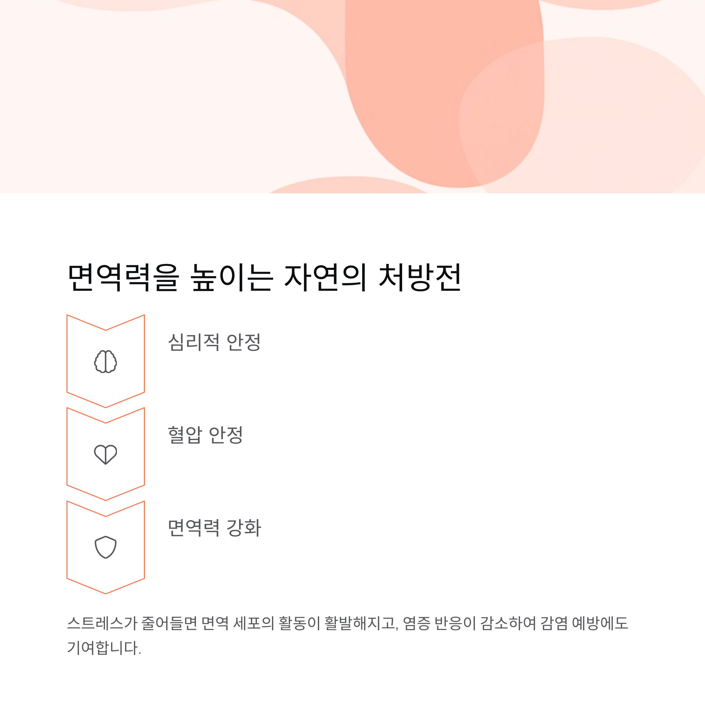 면역력을 높이는 자연의 처방전