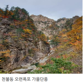 설악산 국립공원 단풍