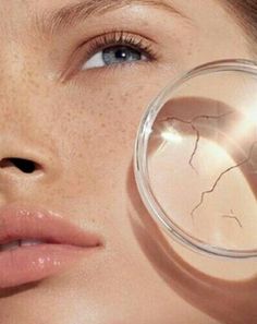 곰피 효능 5가지 부작용, 먹는법, 곰피미역, 쇠미역