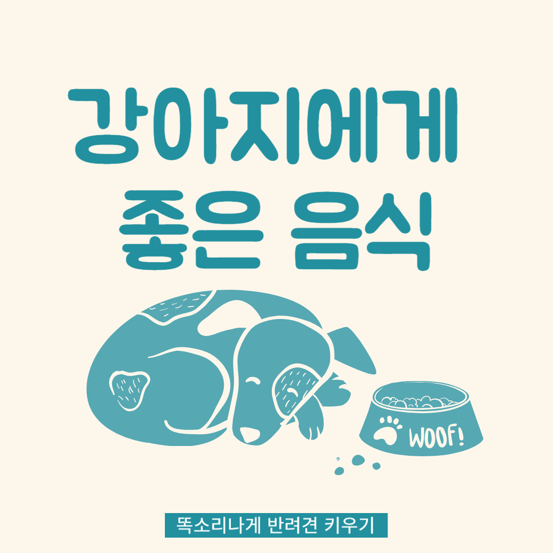 강아지에게 좋은 음식