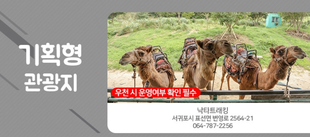 아쿠아플라넷 제주 입장권, 종합권 할인 저렴하게 구매방법