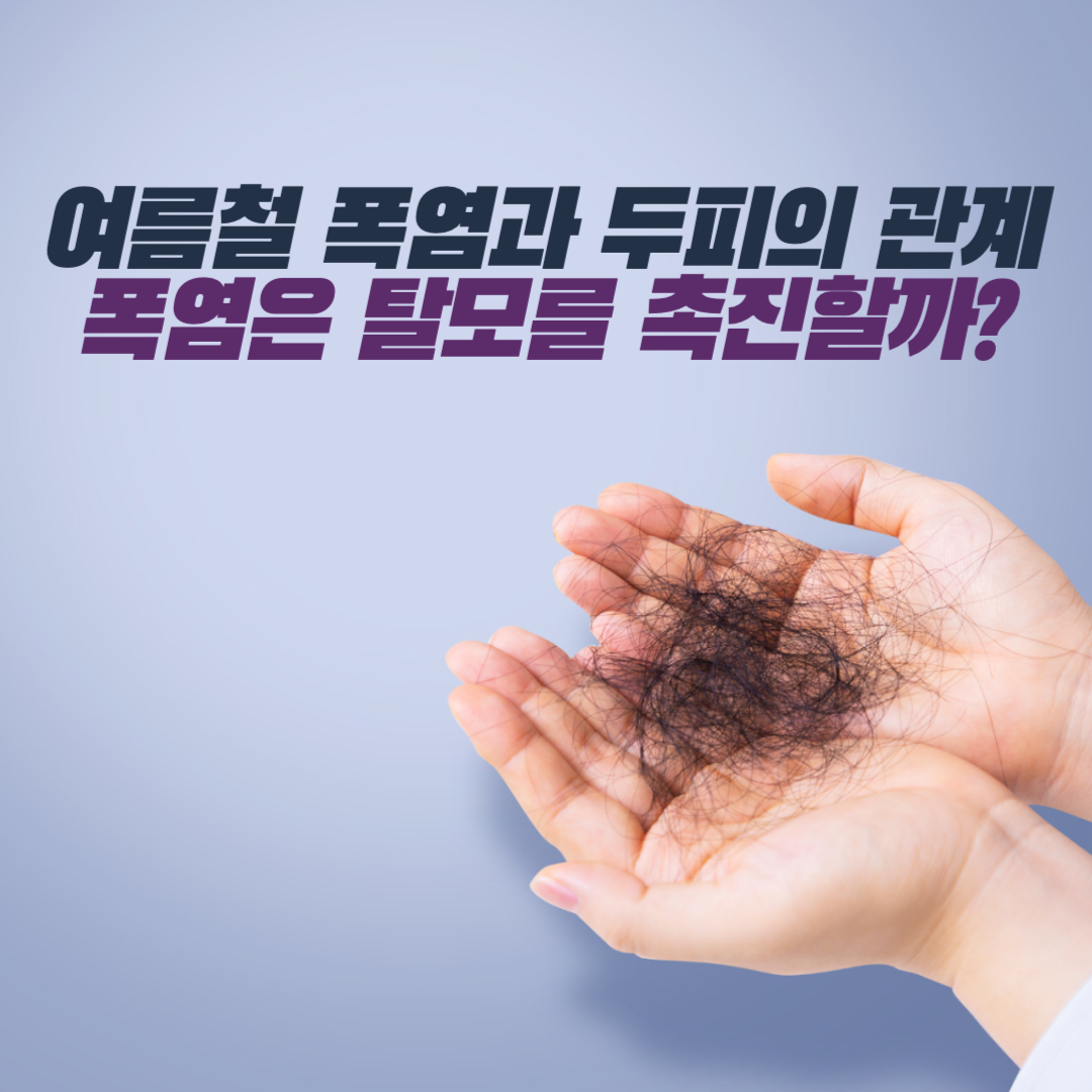 여름철 폭염과 두피의 관계