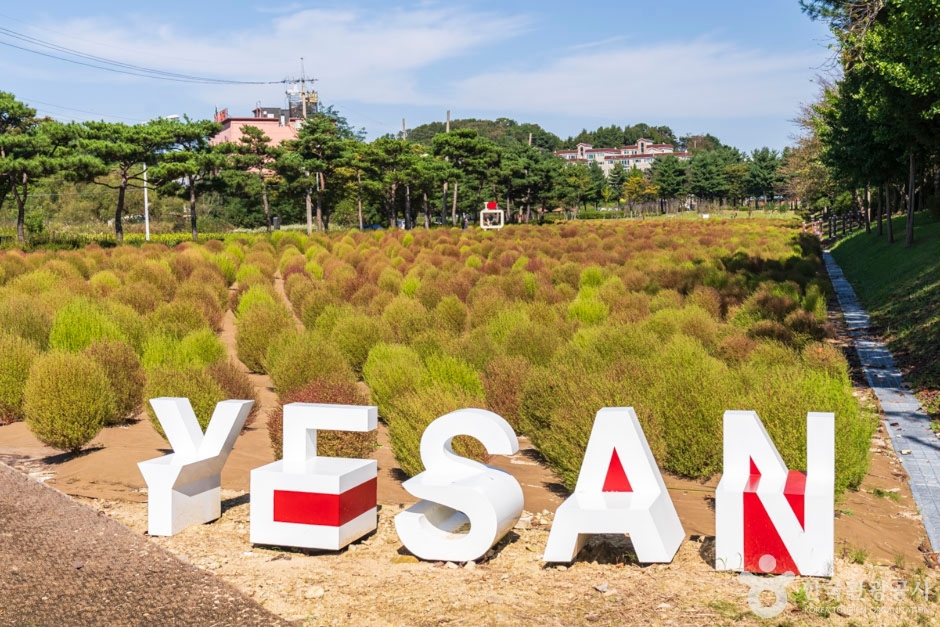 예산 가볼만한곳 베스트10