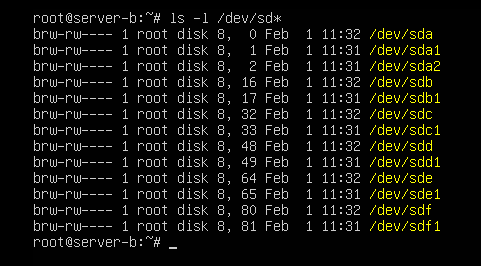 레이드 문제 발생과 조치 방법