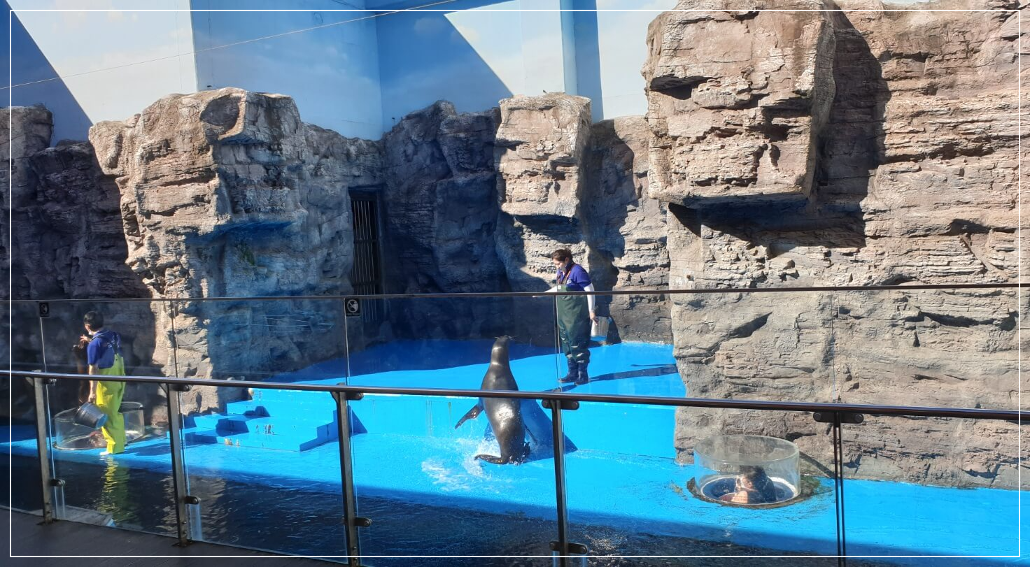 여수 가볼만한곳 베스트10 아쿠아플라넷 여수