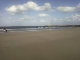  2024 전국 해수욕장 개장일 정리와 특징 - 제주도 