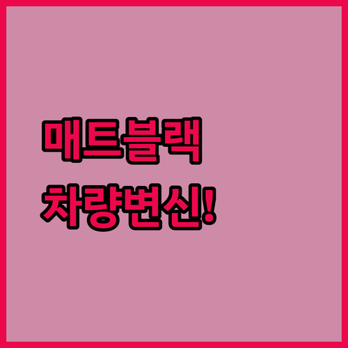 프리미엄 매트 블랙 비닐 랩 롤, 내..