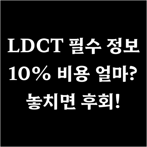LDCT 저선량 CT 폐암 검진 비용..