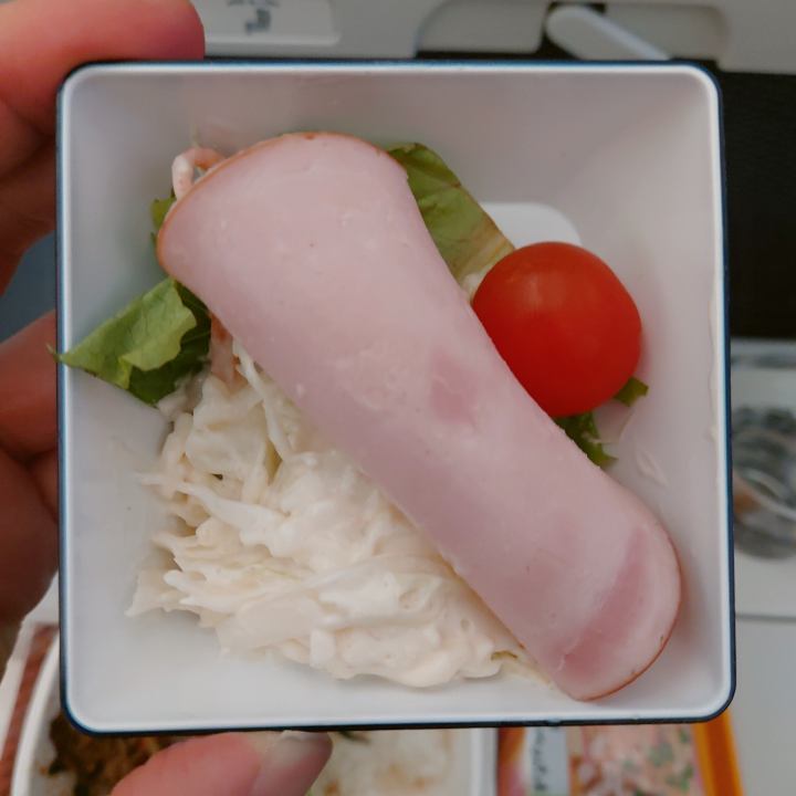 ANA항공이용후기-기내식