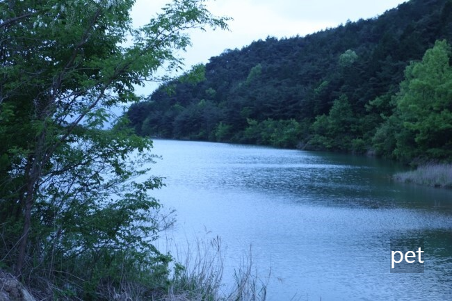 곡성-꿈꾸는캠핑장